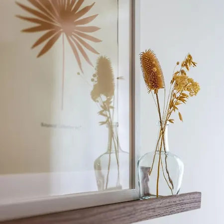 N2 Les Arcades De Montaudry - Terrasse - Parking * Albi